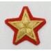 Петлицы командный состава, КАВАЛЕРИЯ, Генерал-лейтенант, обр. 1940 г.